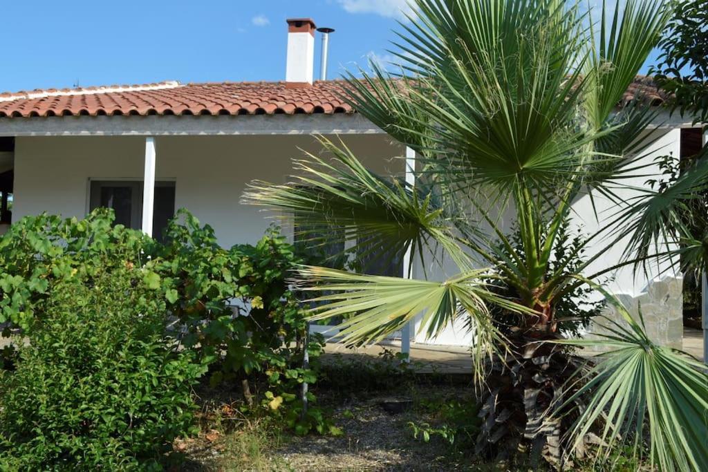 Litochoro Apartment In Estate A1 Dış mekan fotoğraf