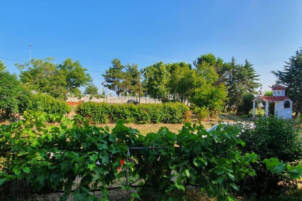 Litochoro Apartment In Estate A1 Dış mekan fotoğraf
